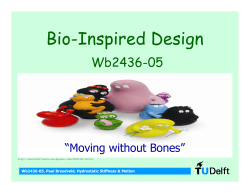 Bioconstruction_Hydrostatic Stiffness