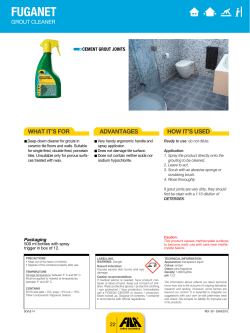 FUGANet - Mandarin Stone