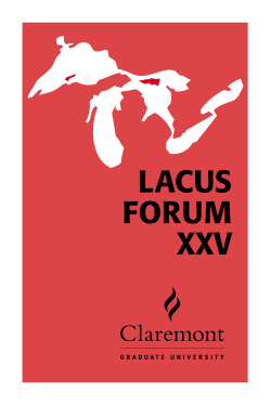 Functional Sentence Perspective, Focus of Information and