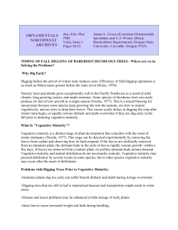 Timing of Fall Digging of Bareroot Deciduous Trees