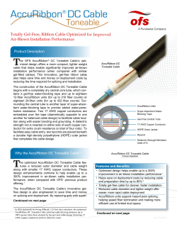 AccuRibbon&reg; DC Cable