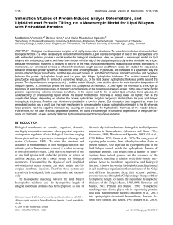 Simulation Studies of Protein-Induced Bilayer