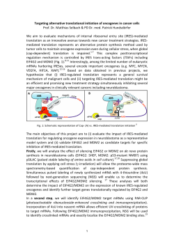 Targeting alternative translational initiation of oncogenes in cancer