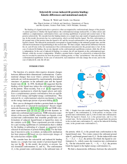 Selected-fit versus induced-fit protein binding: Kinetic differences
