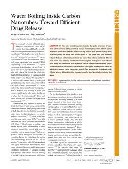 Water Boiling Inside Carbon Nanotubes: Toward Efficient Drug