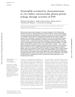Neutrophils recruited by chemoattractants in vivo induce