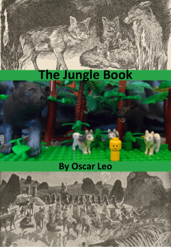 The Jungle Book - 1st East Ryde Scout Group
