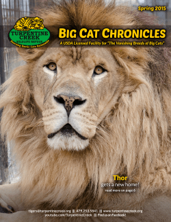 Big Cat ChroniCles - Turpentine Creek Wildlife Refuge