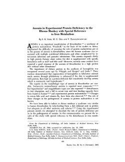 Anemia in Experimental Protein Deficiency in the Rhesus Monkey