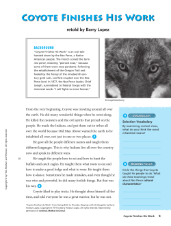 COYOTE FINIsHEs HIs WORk