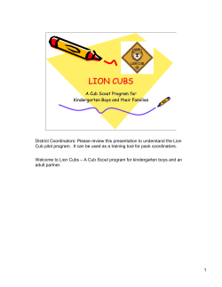 District Lion Cub Coordinator Training