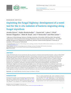 Exploiting the fungal highway: development of a