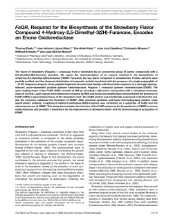 FaQR, Required for the Biosynthesis of the Strawberry Flavor