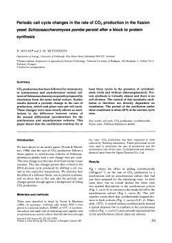 Periodic cell cycle changes in the rate of CO2 production in the