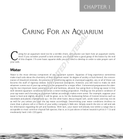 CARING FOR AN AQUARIUM