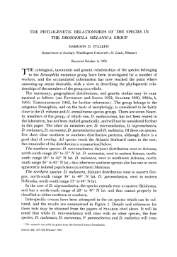 THE DROSOPHZLA MELANZCA GROUP 1965