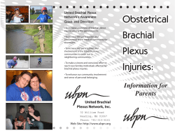 Obstetrical Brachial Plexus Injuries:
