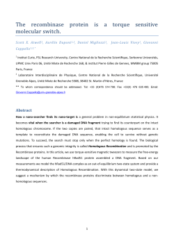 The recombinase protein is a torque sensitive molecular switch.