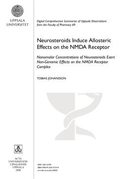 Neurosteroids Induce Allosteric Effects on the NMDA Receptor