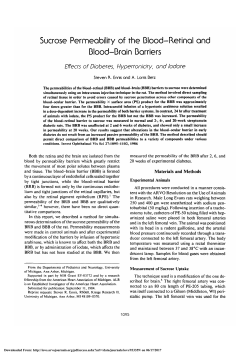 Sucrose permeability of the blood-retinal and blood-brain