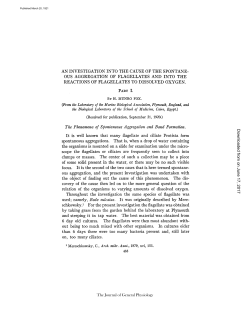 ous aggregation of flagellates and into the reactions of flagellates to