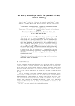 An airway tree-shape model for geodesic airway branch labeling