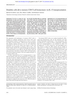 Dendritic cells drive memory CD8 T-cell homeostasis via IL