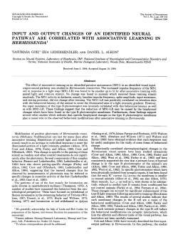 input and output changes of an identified neural pathway are