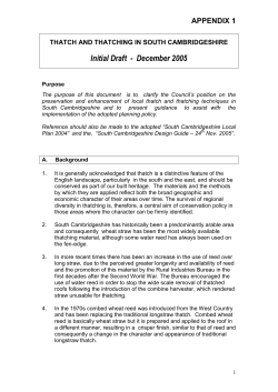 appendix 1 - Meetings, agendas, minutes and Councillor information