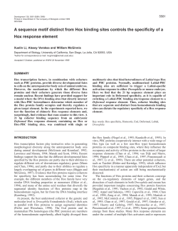 Specificity of Hox response elements