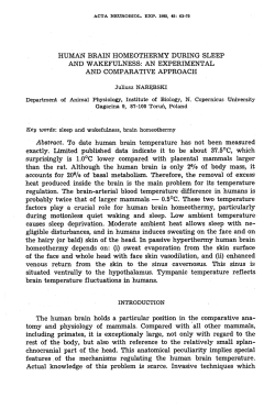 HUMAN BRAIN HOMEOTHERMY DURING SLEEP AND