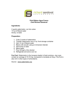 Pink Ribbon Agua Fresca Cocktails