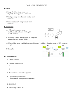Cell Energy student notes Pre-AP 12-13