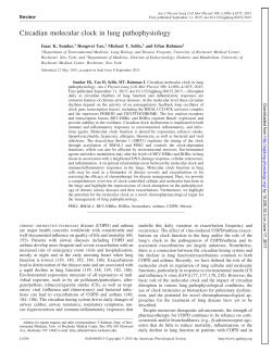 Circadian molecular clock in lung pathophysiology - AJP-Lung