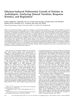 Ethylene-Induced Differential Growth of Petioles in Arabidopsis
