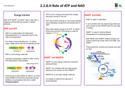 2.2.8.H Role of ATP and NAD