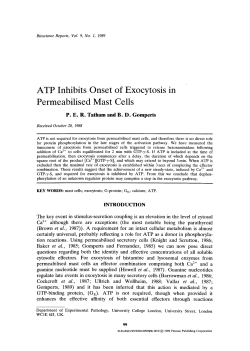 ATP inhibits onset of exocytosis in permeabilised mast cells
