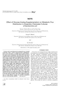 Note: Effect of Glucose Analog Supplementation on Metabolic Flux