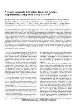 A Novel Arsenate Reductase from the Arsenic Hyperaccumulating