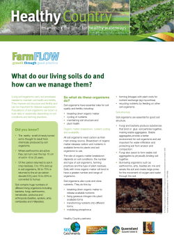 - Healthy Waterways