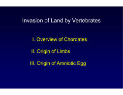 Invasion of Land by Vertebrates