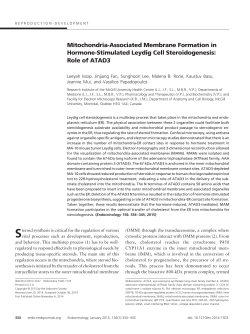 Mitochondria-Associated Membrane Formation in Hormone