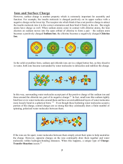 Ions and Surface Charge - Molecular Creation Home Page