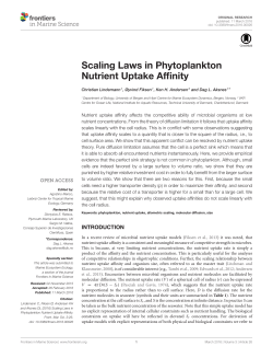 Scaling Laws in Phytoplankton Nutrient Uptake Affinity