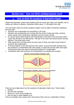 Section two &ndash; how we think antidepressants work