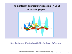 The nonlinear Schr&ouml;dinger equation (NLSE) on metric graphs [0.2