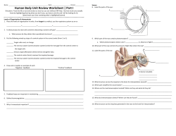 Human Body Unit Review Worksheet | Part I