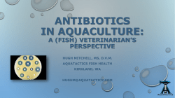 antibiotics in aquaculture - Global Aquaculture Alliance