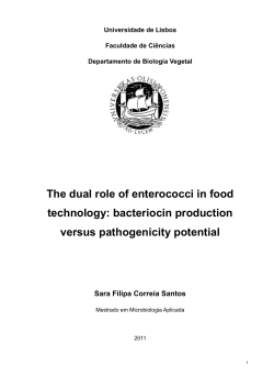 The dual role of enterococci in food technology