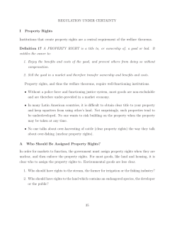 Notes: Regulation Under Certainty